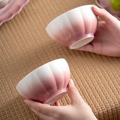 Stunning Pink Ceramic Plates 6-Piece Dinnerware Set For Special Occasions And Presents